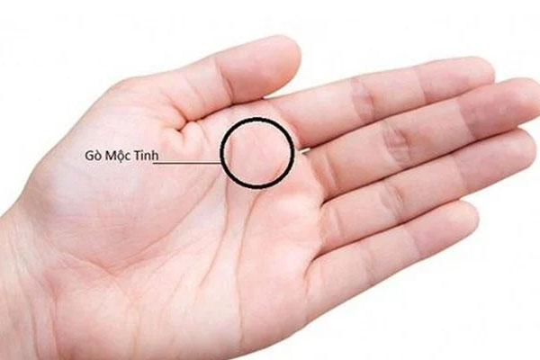 Lòng bàn tay có 4 đặc điểm này, chủ nhân có hồng phúc sâu dày, lộc tuôn ào ào-3