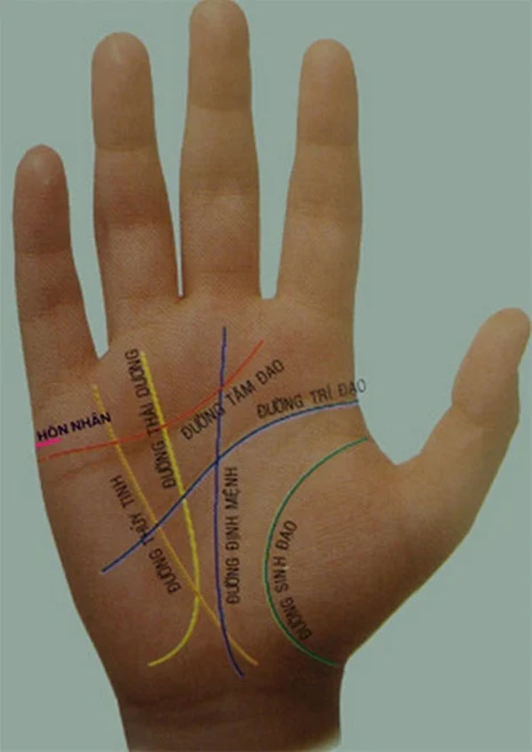 Lòng bàn tay có 4 đặc điểm này, chủ nhân có hồng phúc sâu dày, lộc tuôn ào ào-1