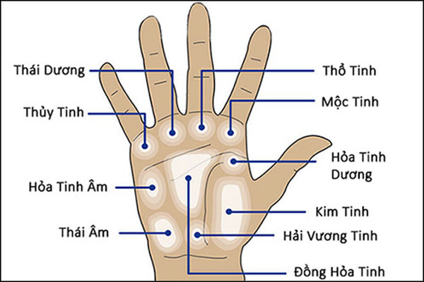Lòng bàn tay có 4 đặc điểm này, chủ nhân có hồng phúc sâu dày, lộc tuôn ào ào-2