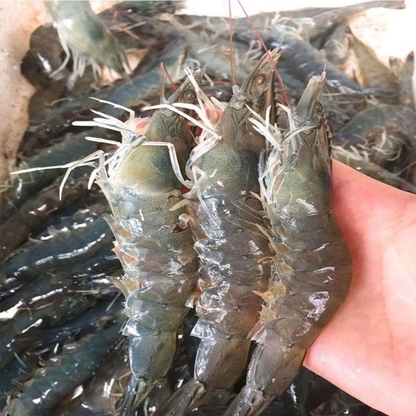 Mách chị em cách làm tôm chiên trứng muối thơm ngon lạ miệng không béo, người kén ăn nhất cũng mê-1