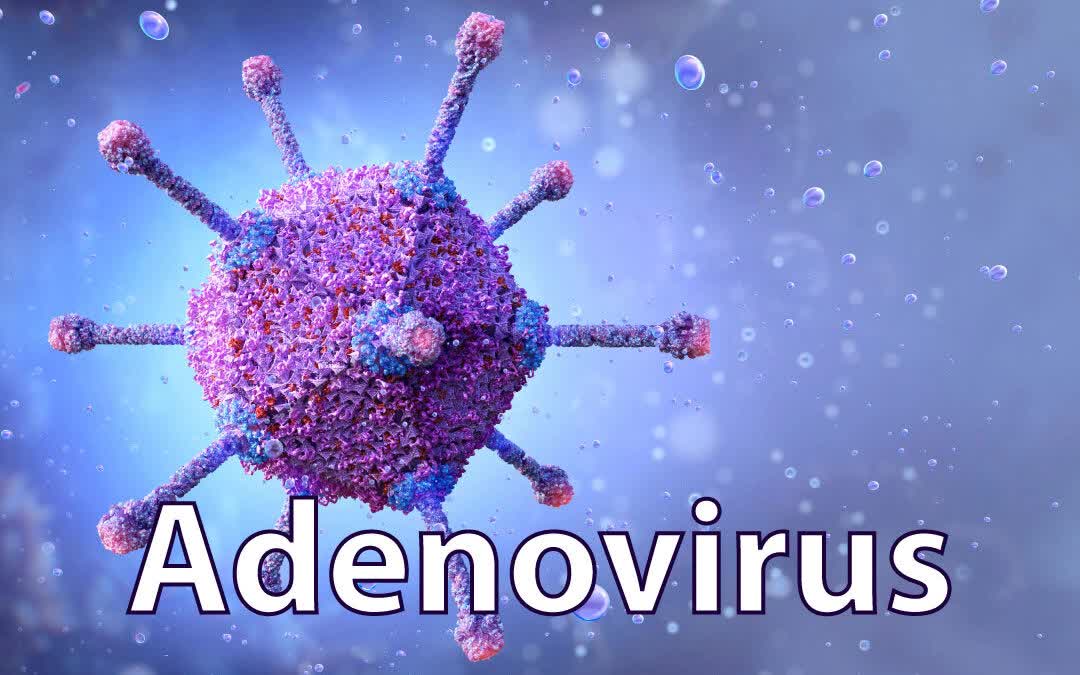 6 trường hợp tử vong vì nhiễm Adenovirus: BS khuyến cáo dấu hiệu nhận biết và việc cần làm để phòng bệnh-1