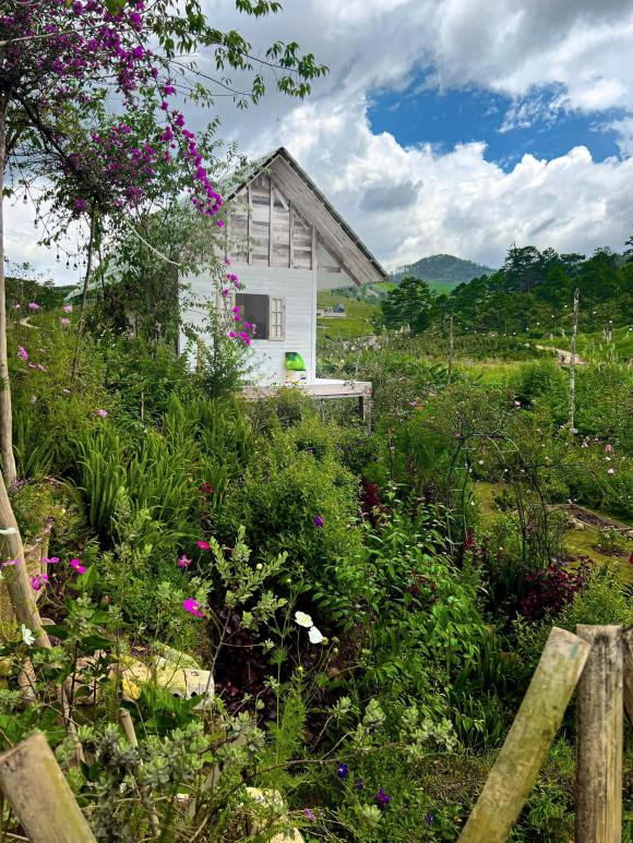 Ngôi nhà nhỏ của Lý Quí Khánh ở Đà Lạt, nhìn qua ai cũng muốn dọn đến ở ngay-6