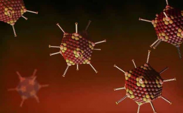 Dấu hiệu nhận biết trẻ nhiễm virus Adeno cha mẹ cần lưu ý-2