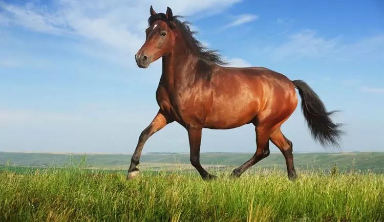 Top 4 con giáp dứt bỏ vận đen, vận may tìm đến: Tháng 10 trúng số, tháng 11 đổi đời-4