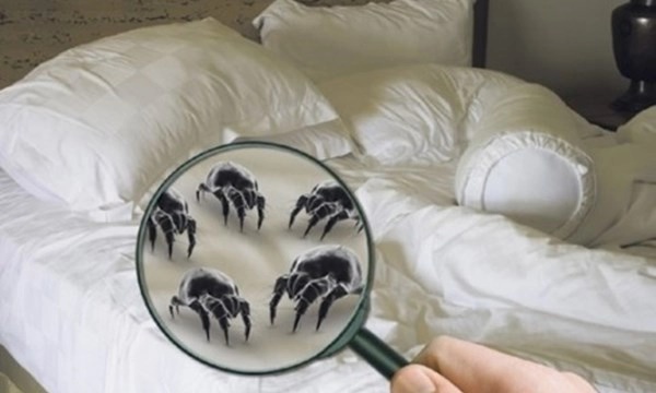 6 món đồ quen thuộc trong gia đình chính là ổ chứa chất gây ung thư-4