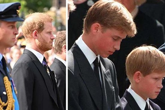 William và Harry với lần tái hợp đầy âm vang ám ảnh của quá khứ