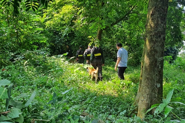 Cảnh sát huy động chó nghiệp vụ tìm kiếm Lương Hải Như-1