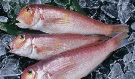 Bé ăn cá có thông minh hơn? 7 loại cá này bé không thể ăn chỉ trong một lần cắn!-5