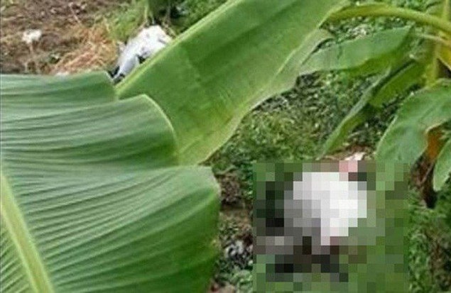 Thi thể cô gái xinh đẹp bị trói tay hé lộ tội ác kinh hoàng của kẻ sát nhân-1