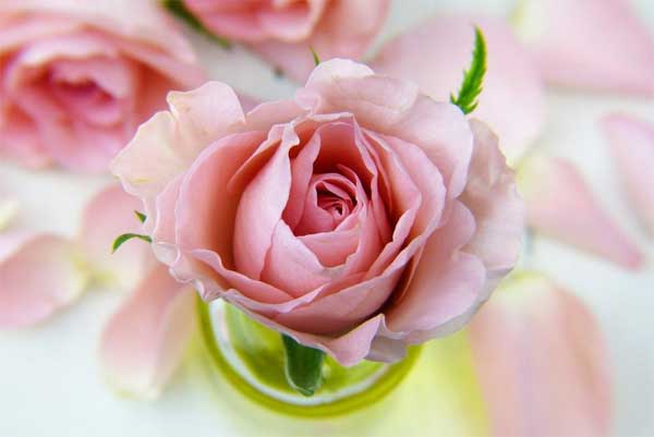Phụ nữ sinh vào 3 tháng Âm lịch này, được ví như sao may mắn, giúp chồng con làm nên nghiệp lớn-3