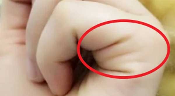 Nắm bàn tay lại rồi đếm đường chỉ: Biết ngay vận mệnh cả đời giàu sang hay bần hàn túng thiếu-3