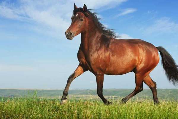 Nhìn độ dài ngón út biết vận mệnh một người: Ai hưởng phúc lộc giàu sang, ai nghèo hèn suốt kiếp-3