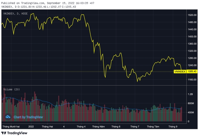 Cổ phiếu Bệnh viện tim bất ngờ tăng trần trong ngày thị trường chứng khoán giảm sâu-1