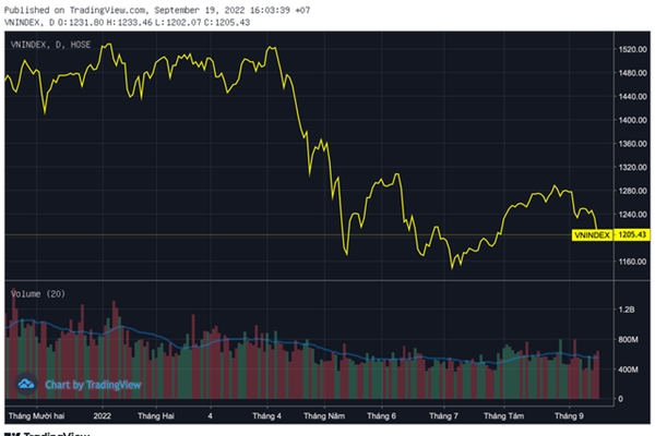 Mất trắng 10 tỷ đồng vì vay tiền bắt đáy cổ phiếu-3