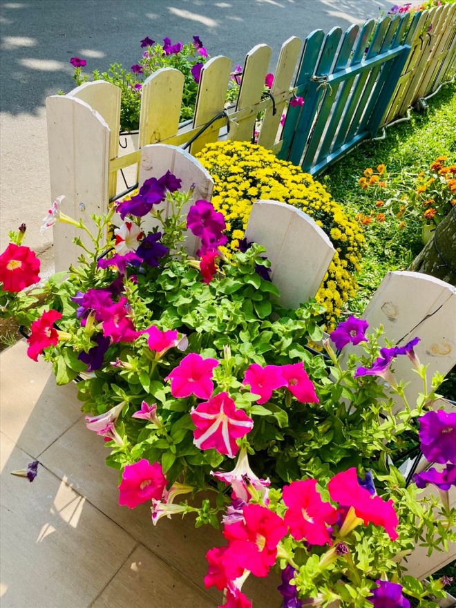 Vy Oanh khoe vườn hồng trong biệt thự rộng lớn-12