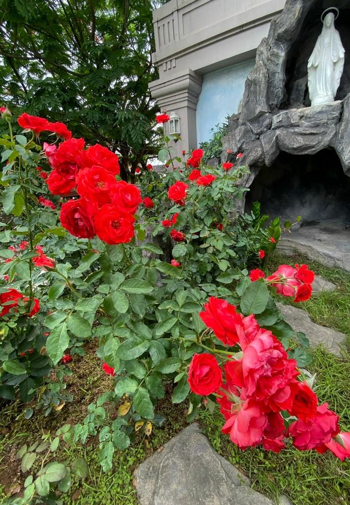 Vy Oanh khoe vườn hồng trong biệt thự rộng lớn-9