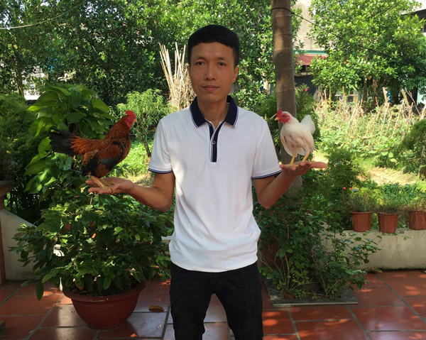 Dân chơi mua loại gà nhỏ tí, giá lên dến cả trăm triệu đồng/con-1