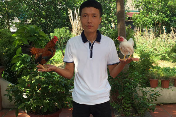 Những con gà chỉ bằng nắm tay gây bão, nườm nượp người đặt mua-3