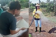 Vụ 'hot girl' quê Bắc Giang bị tố lừa đảo 17 tỷ đồng: Trải lòng của người mẹ