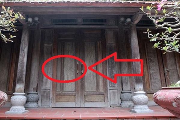 5 loại cây cảnh hút tài lộc, may mắn, giới nhà giàu khoái trồng trong nhà-4