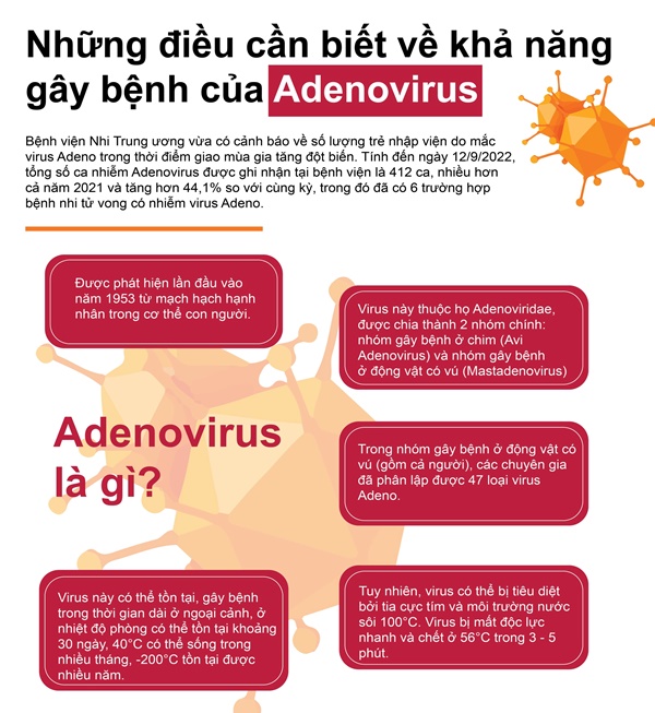 Adenovirus gây bệnh nguy hiểm ra sao, lây nhiễm như thế nào?-1
