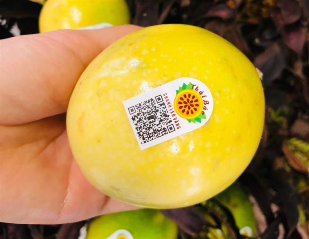 Chanh leo ngọt đắt khét, dân buôn cũng phải xếp hàng chờ mua-2