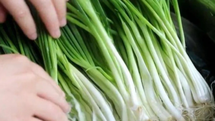 Hành lá mua nhiều trước khi bảo quản cần làm thêm 1 bước, để nửa năm vẫn tươi-2