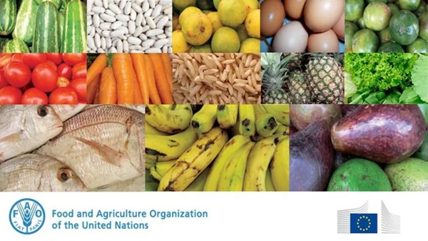 WHO và FAO khuyến nghị nguyên tắc vàng trong ăn uống để đẩy lùi bệnh tật-3