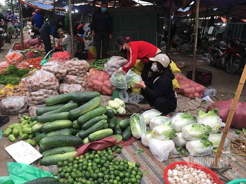 Giật mình với chất lượng rau xanh ở chợ và siêu thị-1