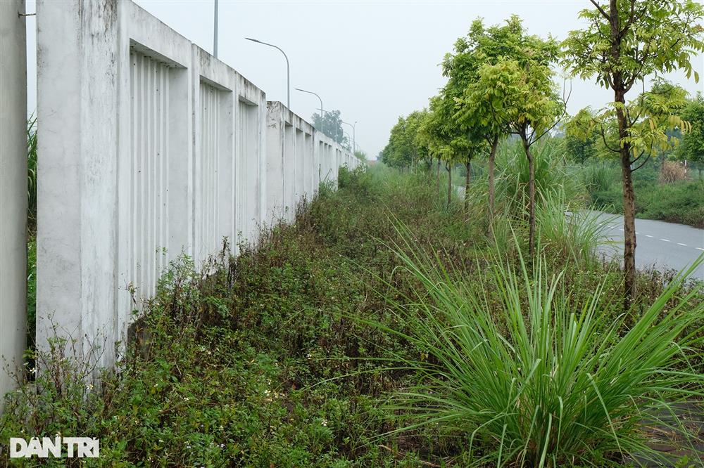 Toàn cảnh 2 bệnh viện Trung ương trị giá nghìn tỷ đồng bỏ hoang ở Hà Nam-12