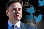 Elon Musk muốn sa thải 75% nhân viên Twitter-3