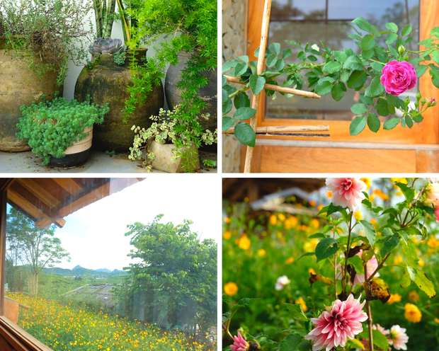 Người phụ nữ bỏ phố về cao nguyên Mộc Châu xây nhà trồng rau-2