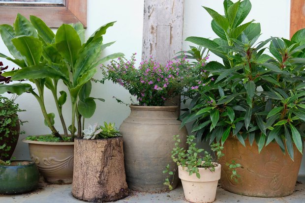 Người phụ nữ bỏ phố về cao nguyên Mộc Châu xây nhà trồng rau-3