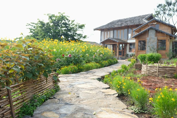 Người phụ nữ bỏ phố về cao nguyên Mộc Châu xây nhà trồng rau-7