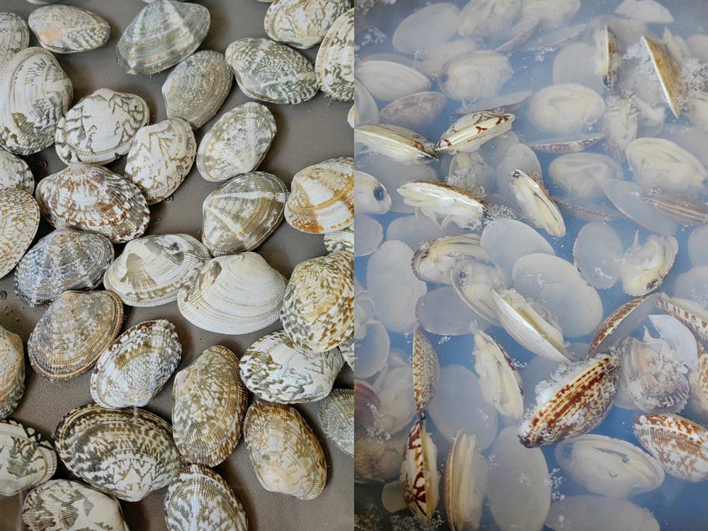 Canh ngao nấu bí đao ngọt mát ngày nóng-5