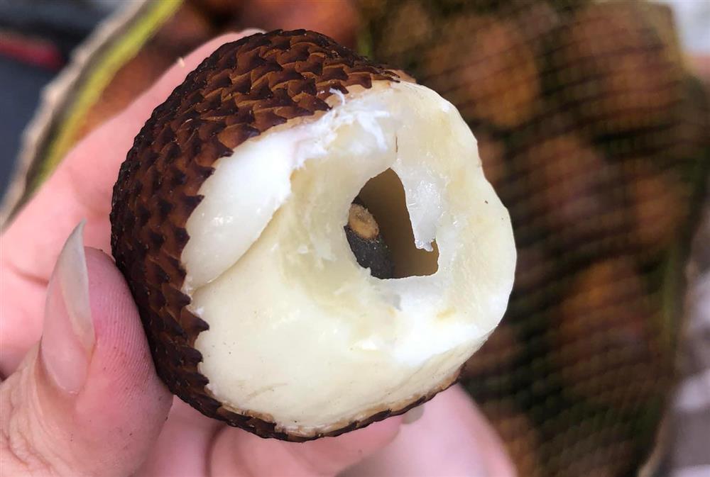 Quả lạ có vỏ hệt da rắn, giá cao chót vót vẫn ‘cháy hàng’-2