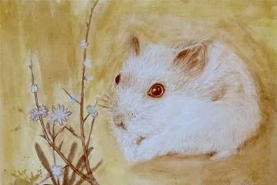 Giờ Vàng đã điểm: 4 tuổi 