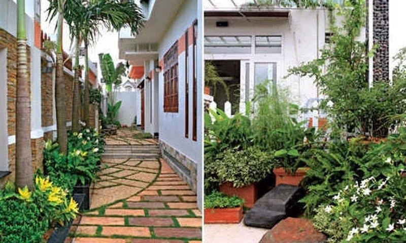 Các cụ dạy: Nghèo mấy cũng đừng chặt 4 loại cây này con cháu được bảo vệ, phúc lộc sâu dày dễ giàu có-2