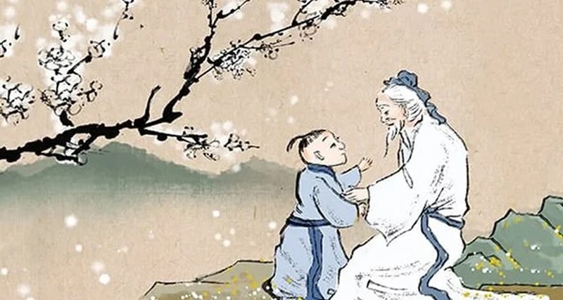 Các cụ dạy: Nghèo mấy cũng đừng chặt 4 loại cây này con cháu được bảo vệ, phúc lộc sâu dày dễ giàu có-3