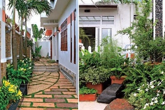 Các cụ dạy: Nghèo mấy cũng đừng chặt 4 loại cây này con cháu được bảo vệ, phúc lộc sâu dày dễ giàu có