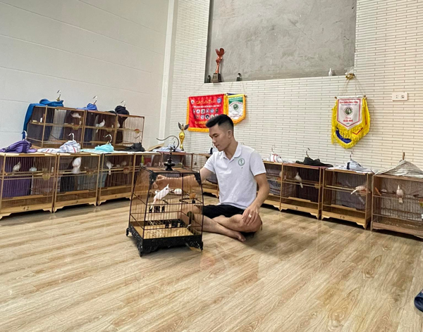 9x sở hữu đàn chim tiền tỷ, có con giá lên đến 500 triệu đồng-1