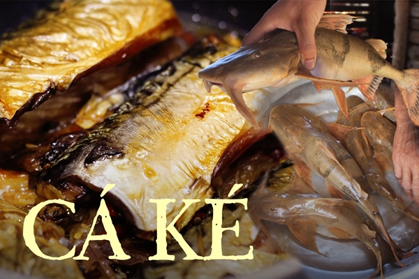 Loại nấm đắt hàng ở Lào Cai-4