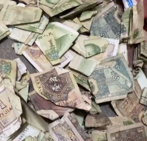 Xôn xao cụ ông qua đời để lại cả tủ tiền, con cháu ngồi hì hục đếm-4