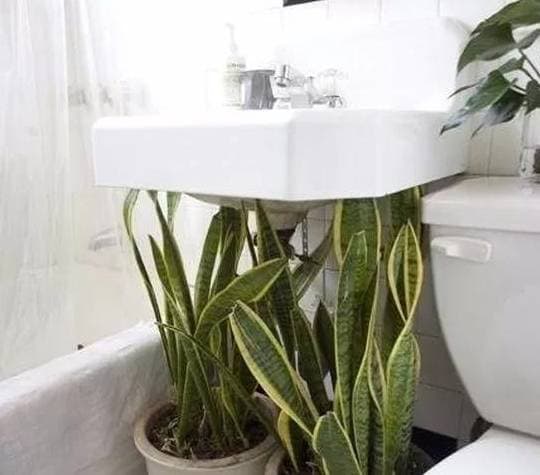 Phòng tắm không có cửa sổ, tối tăm, ẩm thấp và có mùi hôi: Làm thế nào để cứu nó?-11