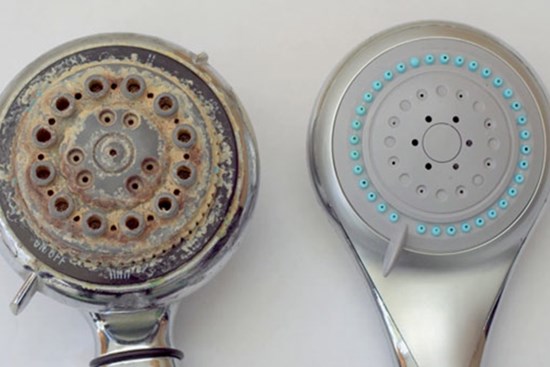 Vòi hoa sen bị tắc, chỉ cần ngâm trong thứ nước này là lại trở về trạng thái ban đầu