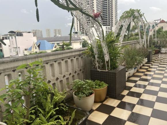 Hoa hậu Giáng My khoe thành quả thu hoạch rau củ quả bội thu trong biệt thự xa hoa-7