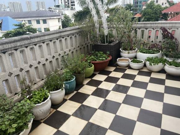 Hoa hậu Giáng My khoe thành quả thu hoạch rau củ quả bội thu trong biệt thự xa hoa-9