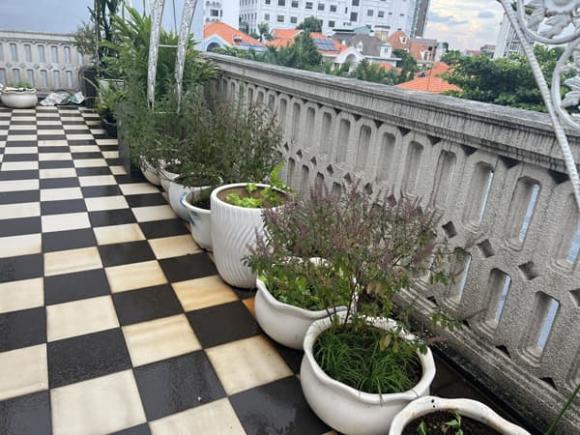 Hoa hậu Giáng My khoe thành quả thu hoạch rau củ quả bội thu trong biệt thự xa hoa-10