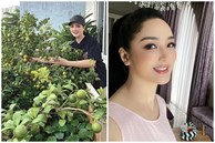 Hoa hậu Giáng My khoe thành quả thu hoạch rau củ quả 'bội thu' trong biệt thự xa hoa