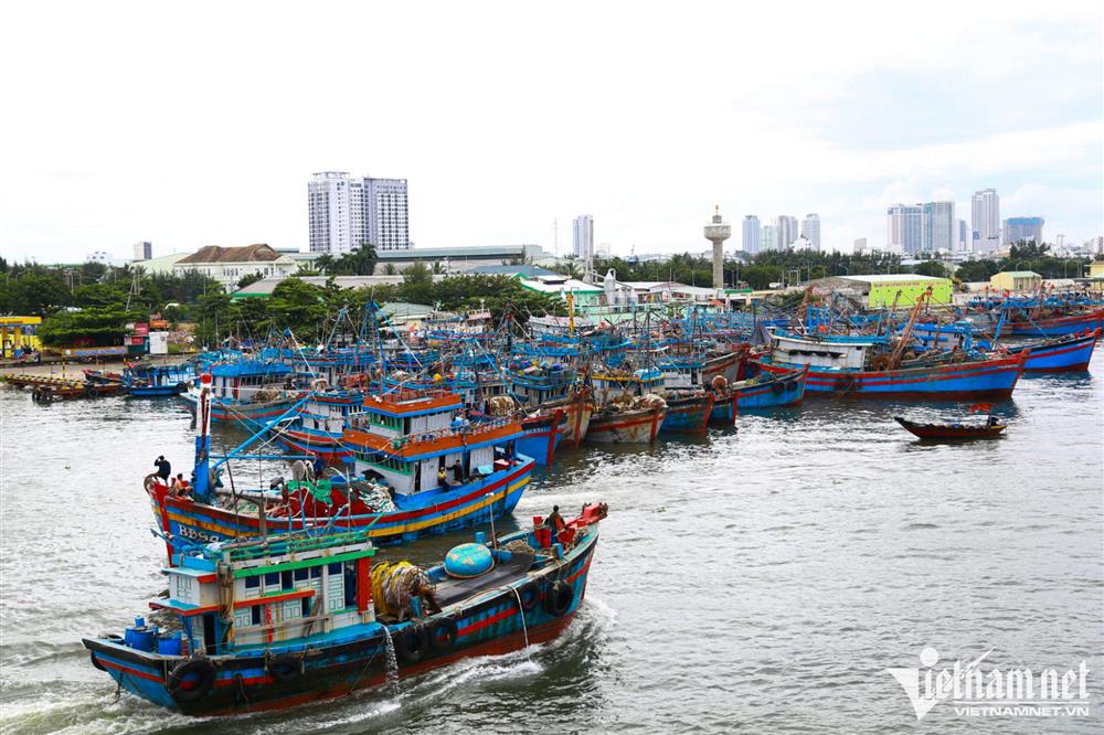 Bão vào biển Đông, hơn 2.500 ngư dân Quảng Nam còn ở ngoài khơi-1